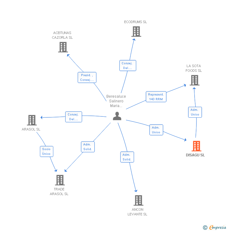 Vinculaciones societarias de DISAGU SL