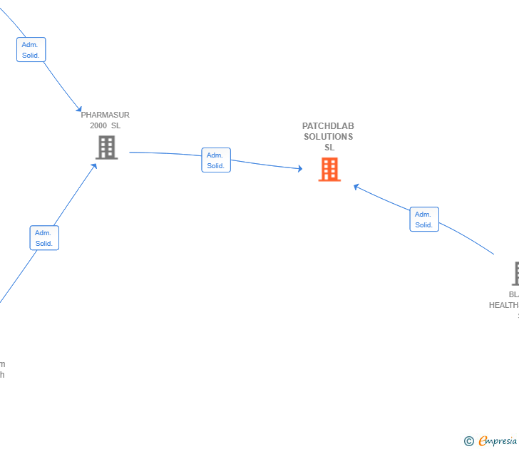 Vinculaciones societarias de PATCHDLAB SOLUTIONS SL