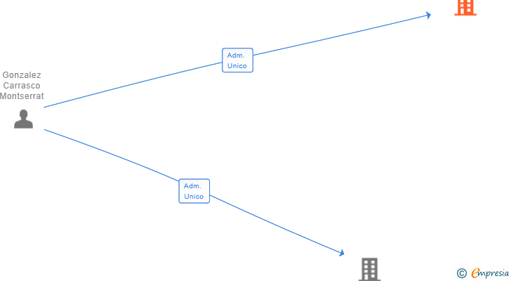 Vinculaciones societarias de LLEGOAN SERVICIOS INTEGRALES SL