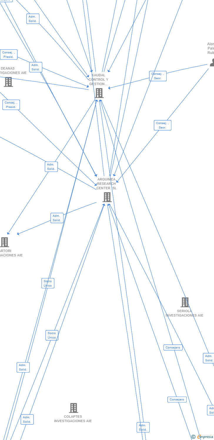 Vinculaciones societarias de PALADIO INVESTIGACIONES AIE (EXTINGUIDA)