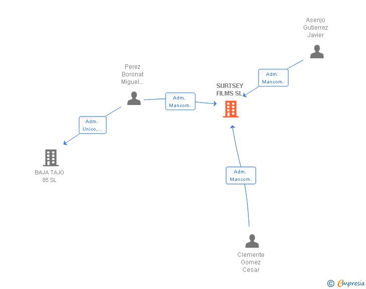 Vinculaciones societarias de SURTSEY FILMS SL