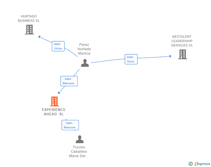 Vinculaciones societarias de EXPERIENCE AHEAD SL