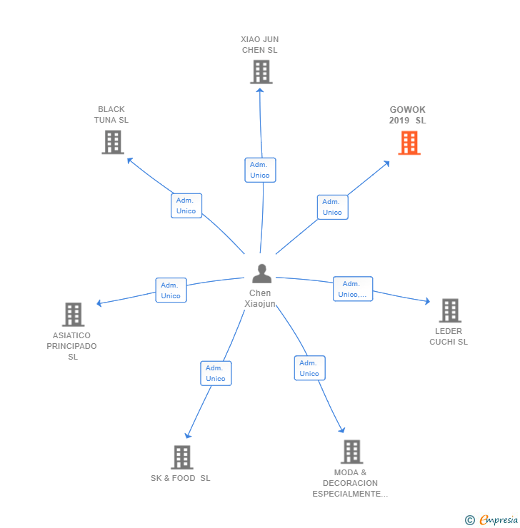 Vinculaciones societarias de GOWOK 2019 SL
