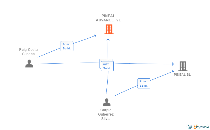 Vinculaciones societarias de PINEAL ADVANCE SL