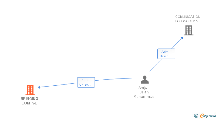 Vinculaciones societarias de BRINGING COM SL