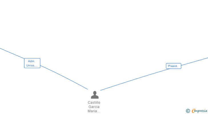 Vinculaciones societarias de INICIATIVAS DE DESARROLLO WONDERWORD 2020 SL