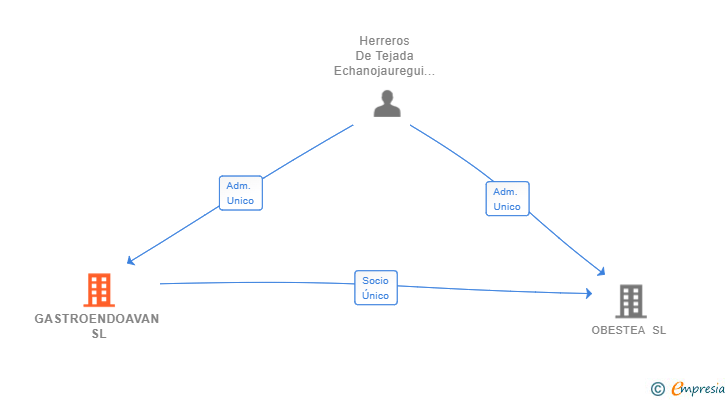 Vinculaciones societarias de GASTROENDOAVAN SL