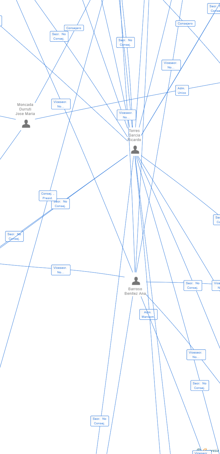 Vinculaciones societarias de HAMELYN TECHNOLOGIES SL