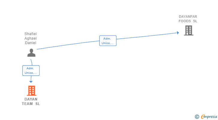 Vinculaciones societarias de DAYAN TEAM SL