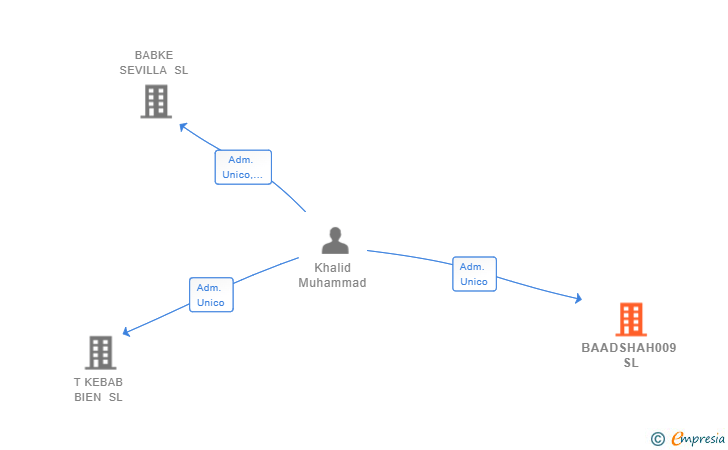 Vinculaciones societarias de BAADSHAH009 SL