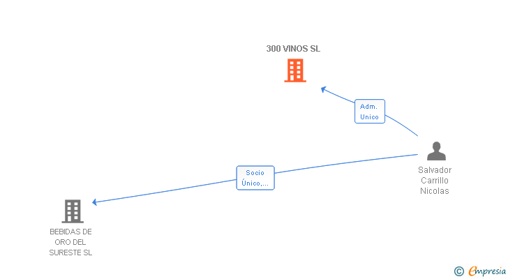 Vinculaciones societarias de 300 VINOS SL