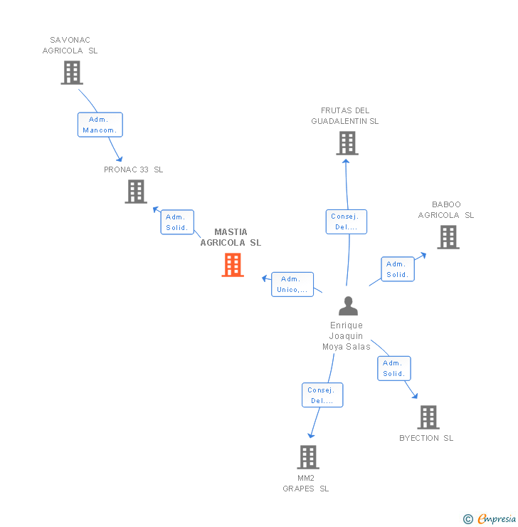 Vinculaciones societarias de MASTIA AGRICOLA SL