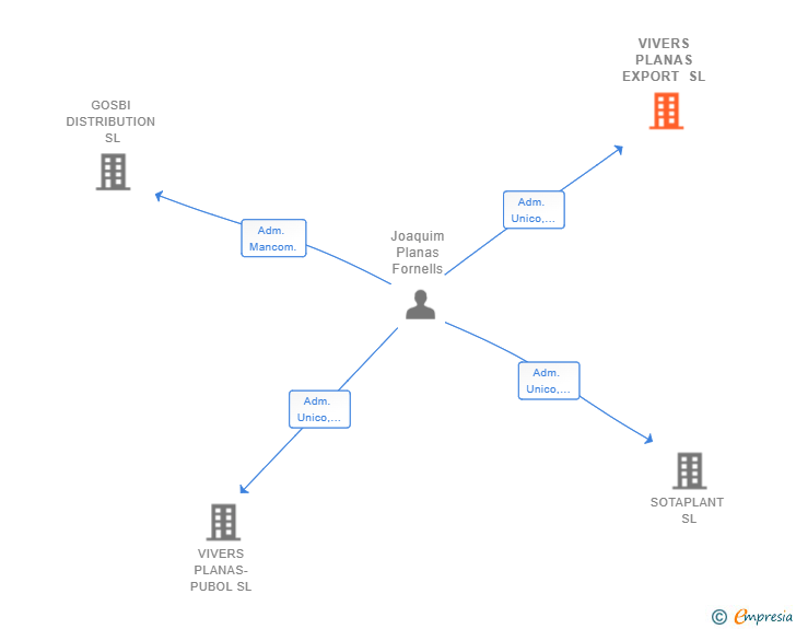 Vinculaciones societarias de VIVERS PLANAS EXPORT SL