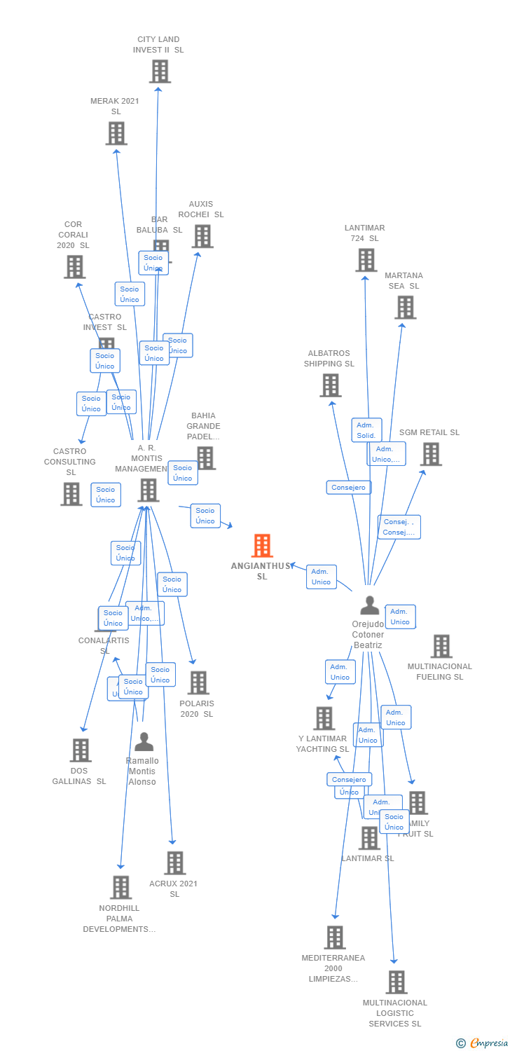 Vinculaciones societarias de ANGIANTHUS SL