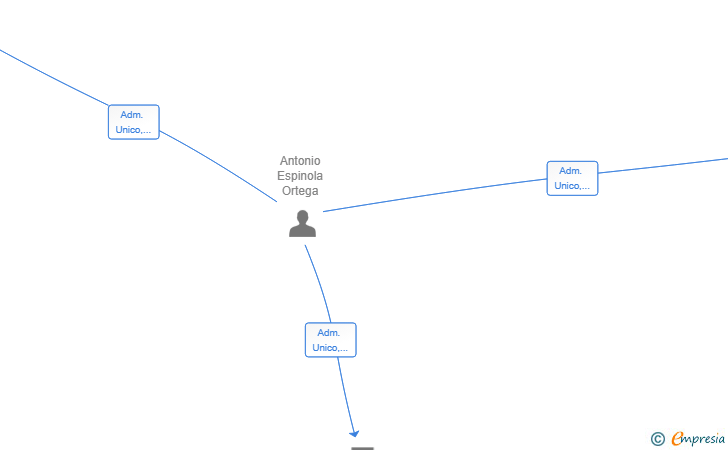 Vinculaciones societarias de SALVANOCHE SL