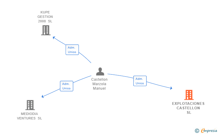 Vinculaciones societarias de EXPLOTACIONES CASTELLON SL