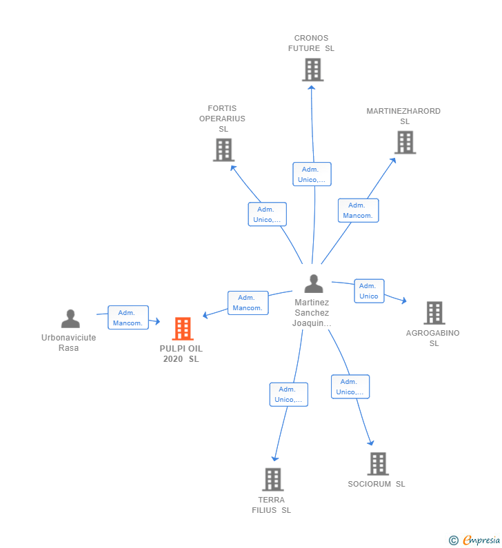 Vinculaciones societarias de PULPI OIL 2020 SL