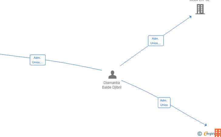 Vinculaciones societarias de BRILLOMATIC SL