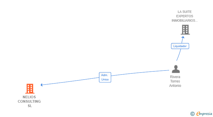 Vinculaciones societarias de NELIOS CONSULTING SL