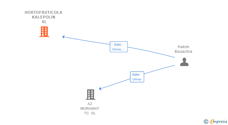 Vinculaciones societarias de HORTOFRUTICOLA KALEPOLIN SL