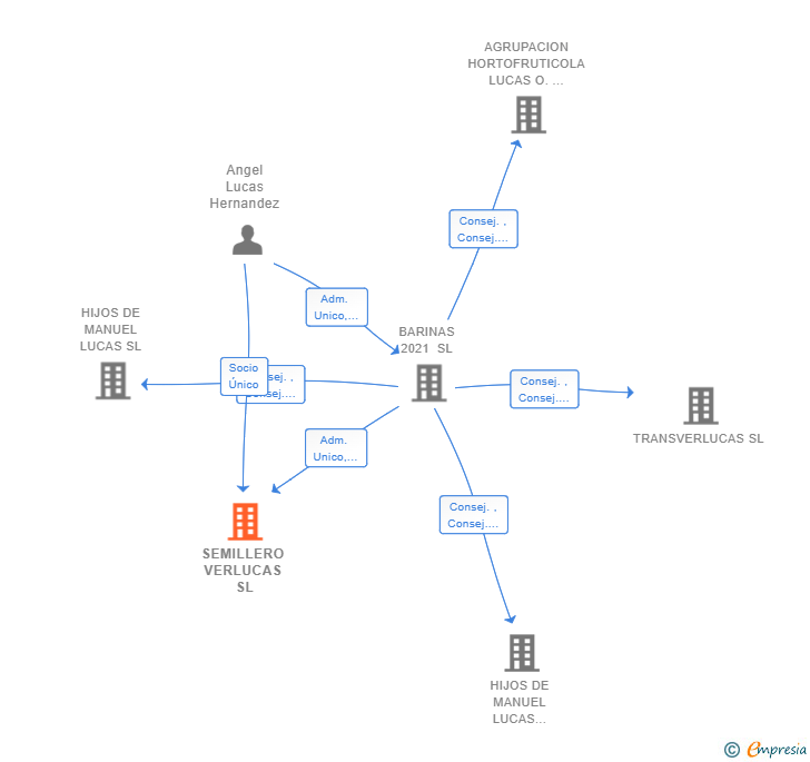 Vinculaciones societarias de SEMILLERO VERLUCAS SL