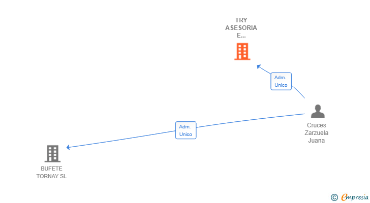 Vinculaciones societarias de TRY ASESORIA E INVERSION SL