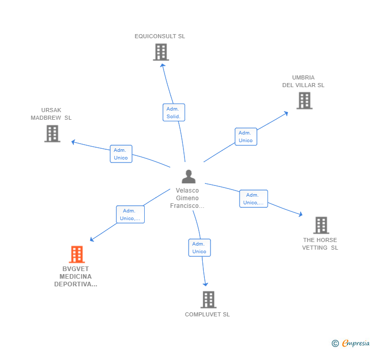 Vinculaciones societarias de BVGVET MEDICINA DEPORTIVA EQUINA SL