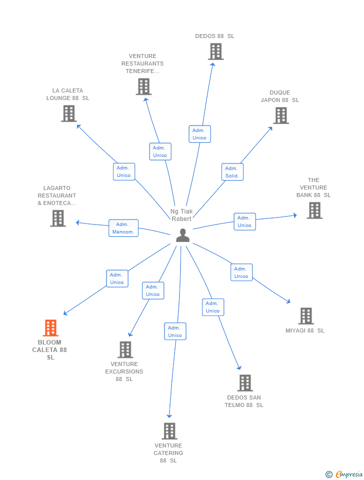 Vinculaciones societarias de BLOOM CALETA 88 SL