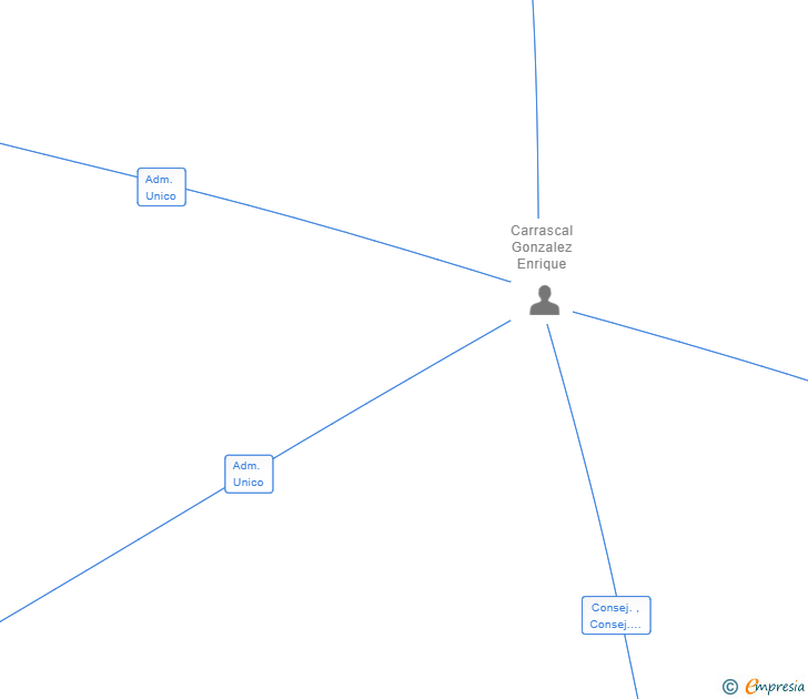 Vinculaciones societarias de STRATEGY & INNOVATION ADVISORS SL (EXTINGUIDA)