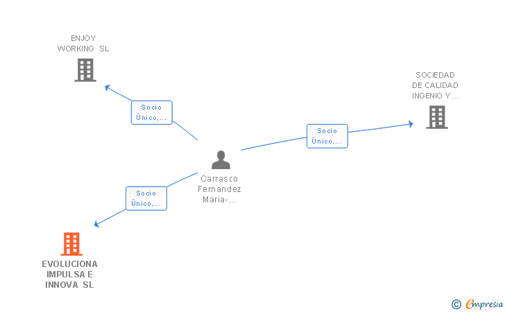Vinculaciones societarias de EVOLUCIONA IMPULSA E INNOVA SL