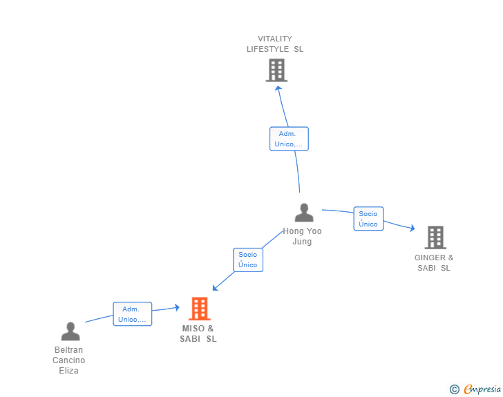 Vinculaciones societarias de MISO & SABI SL
