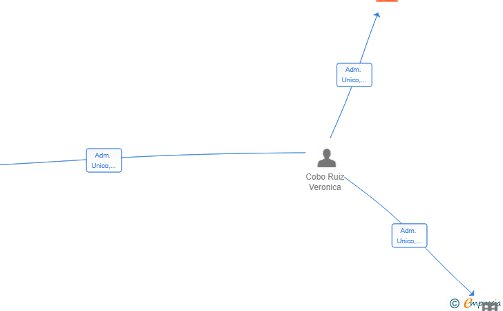 Vinculaciones societarias de VERCORU SEGUROS SL