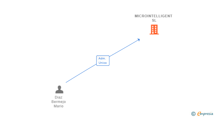 Vinculaciones societarias de MICROINTELLIGENT SL