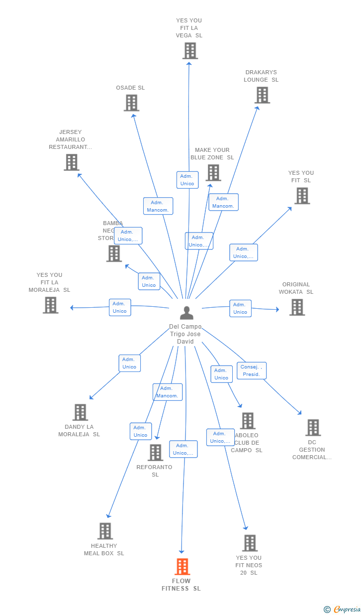 Vinculaciones societarias de FLOW FITNESS SL