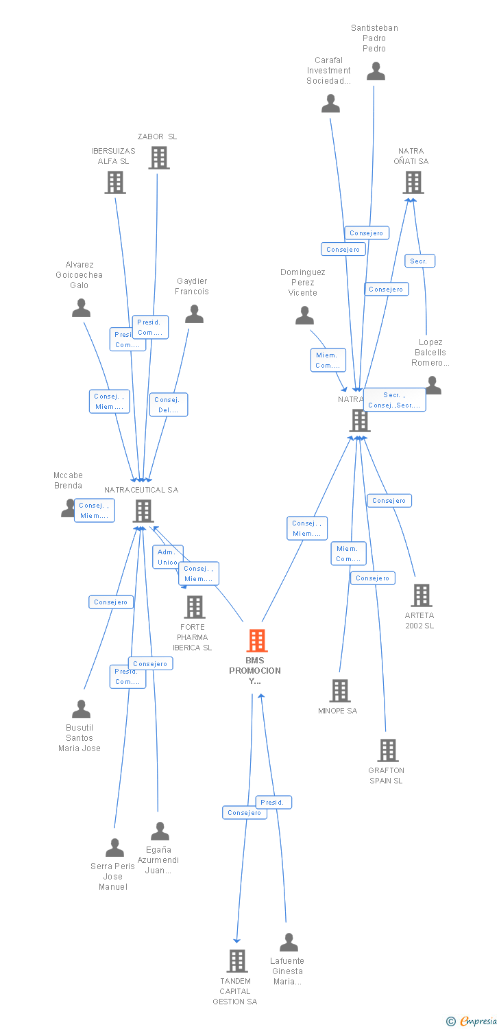 Vinculaciones societarias de BMS PROMOCION Y DESARROLLO SL