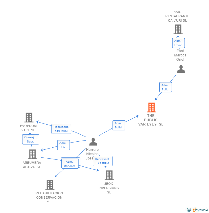 Vinculaciones societarias de THE PUBLIC VAR EYES SL