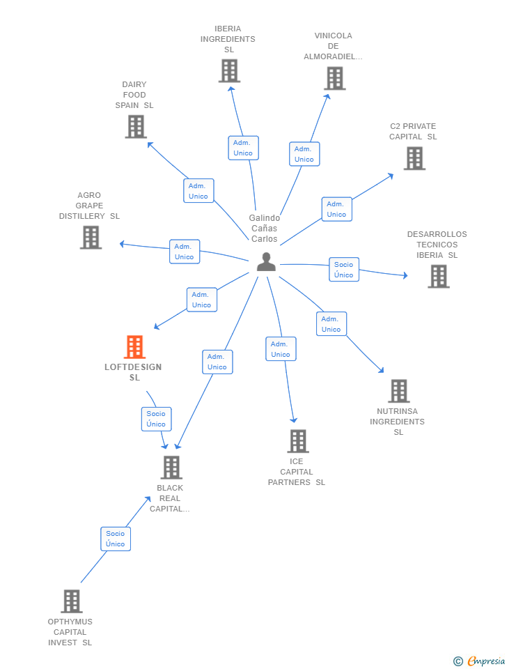 Vinculaciones societarias de LOFTDESIGN SL