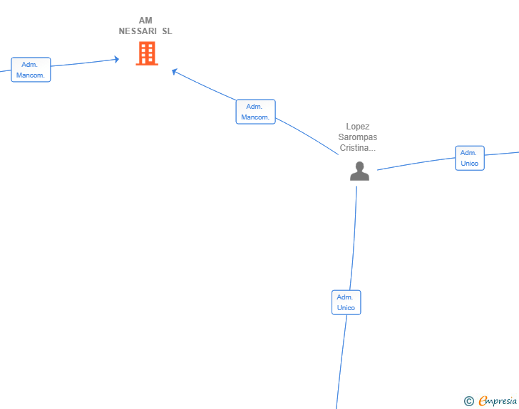 Vinculaciones societarias de AM NESSARI SL