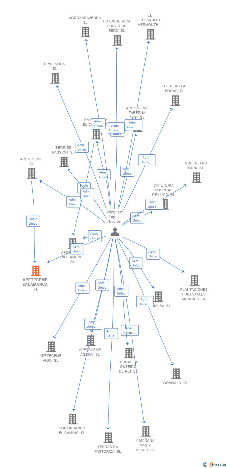 Vinculaciones societarias de APETECEME SALAMANCA SL