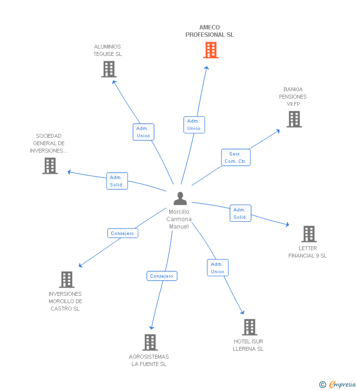 Vinculaciones societarias de AMECO PROFESIONAL SL