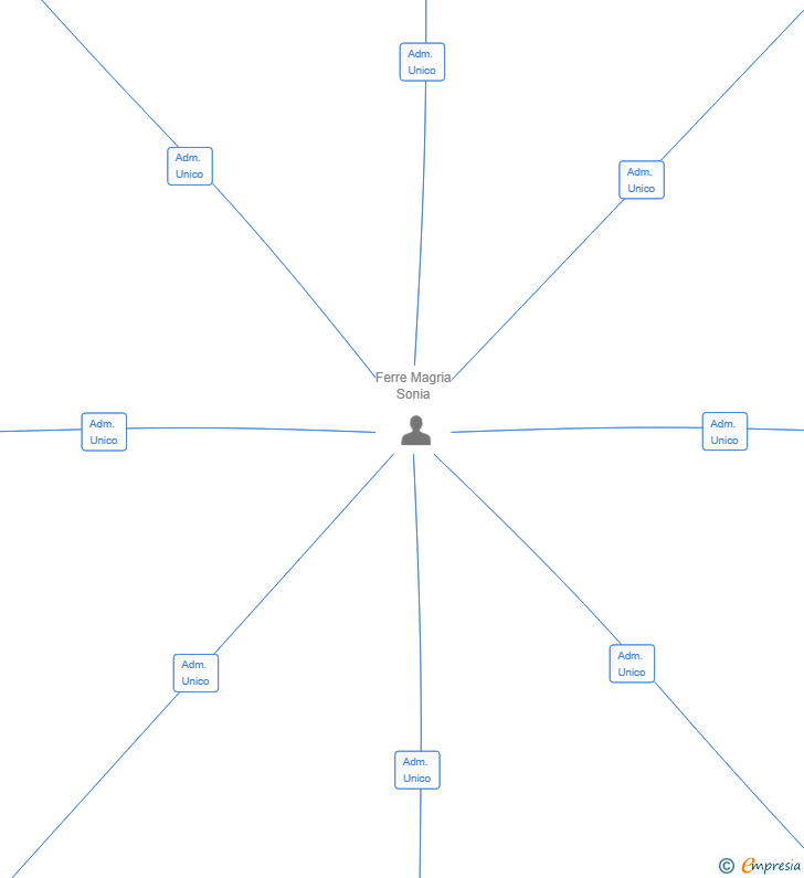 Vinculaciones societarias de LEVANTE VISTA RIDE VTC SL