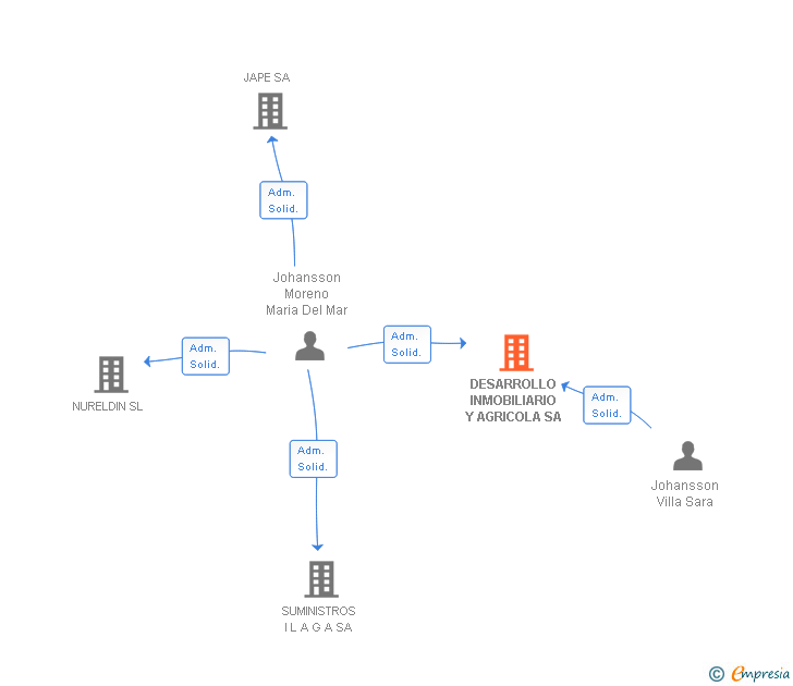 Vinculaciones societarias de DESARROLLO INMOBILIARIO Y AGRICOLA SA