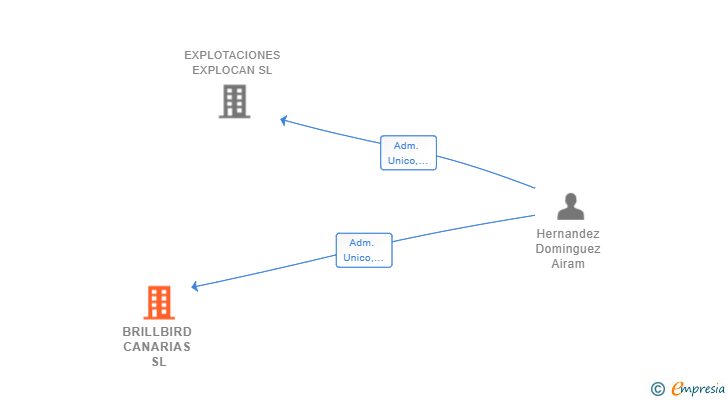 Vinculaciones societarias de BRILLBIRD CANARIAS SL