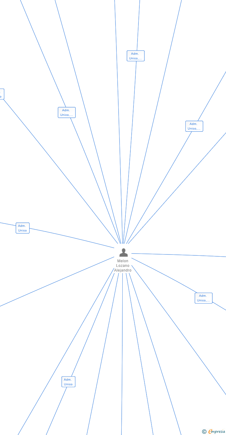 Vinculaciones societarias de MAYLOZA MARKET SL