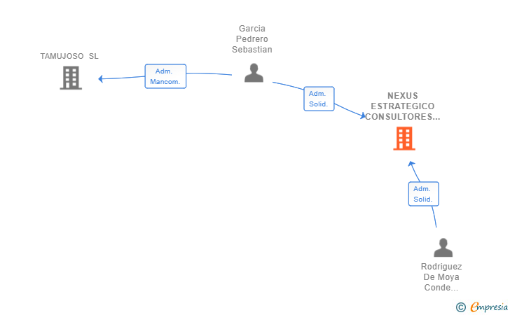 Vinculaciones societarias de NEXUS ESTRATEGICO CONSULTORES SL