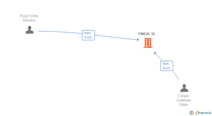 Vinculaciones societarias de PINEAL SL