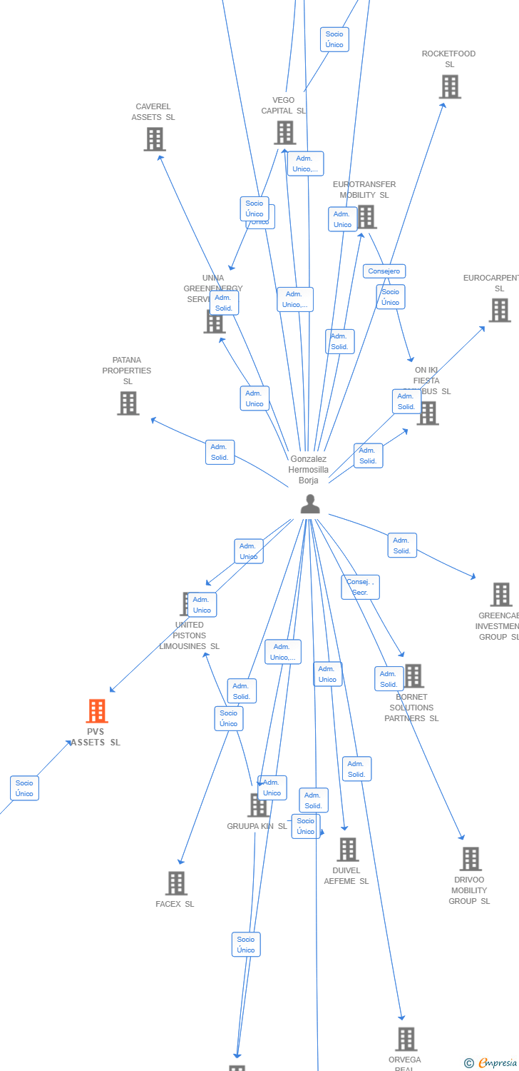 Vinculaciones societarias de PVS ASSETS SL