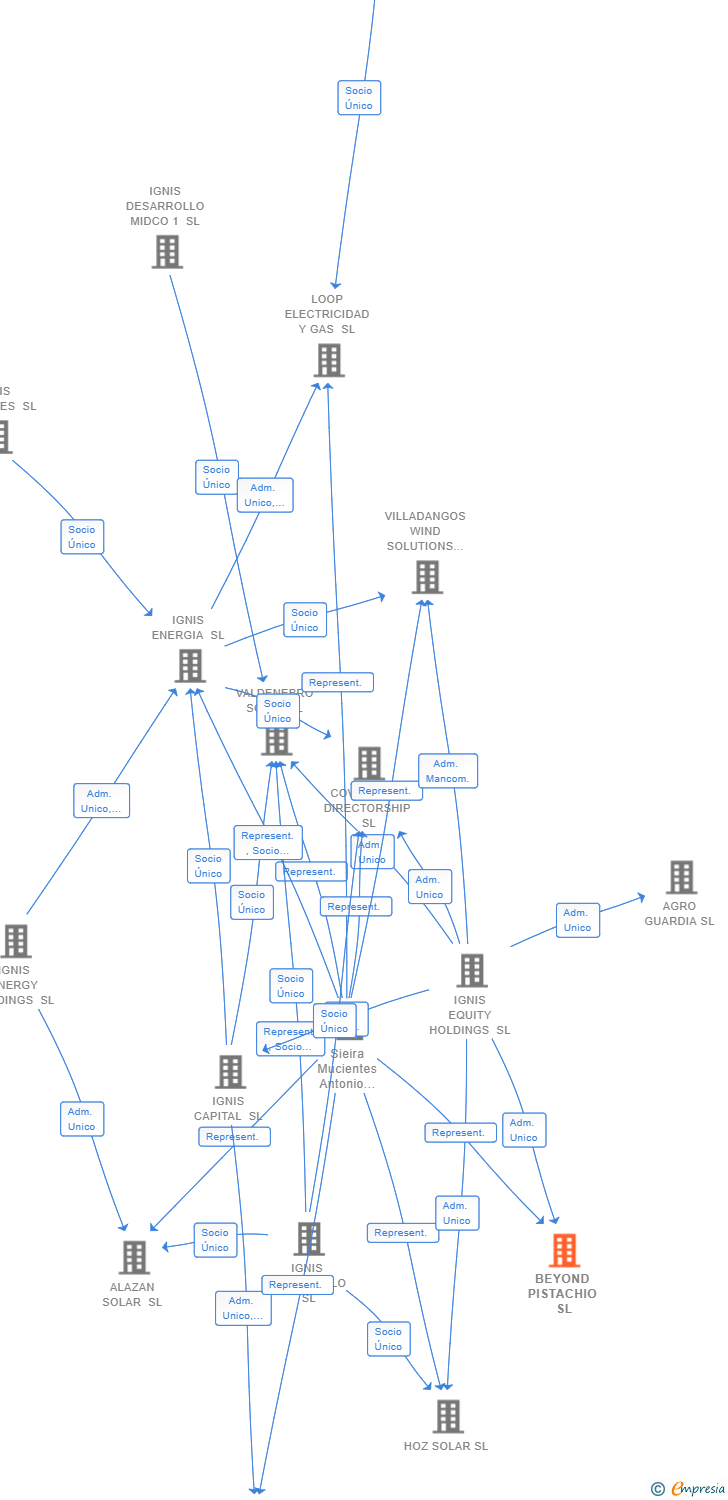 Vinculaciones societarias de BEYOND PISTACHIO SL