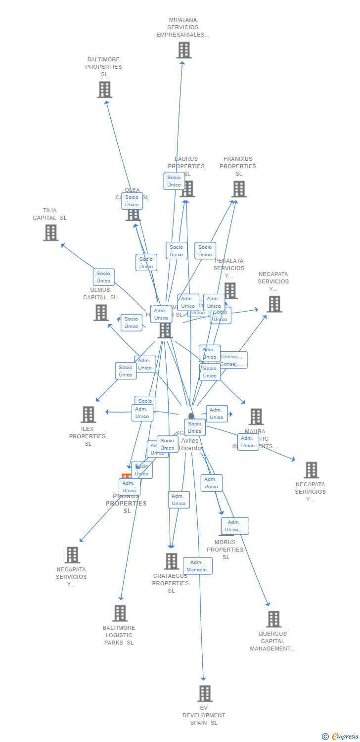 Vinculaciones societarias de PRUNUS PROPERTIES SL