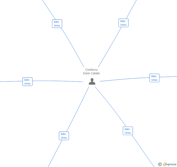 Vinculaciones societarias de DEMOLICION INTEGRALES SL